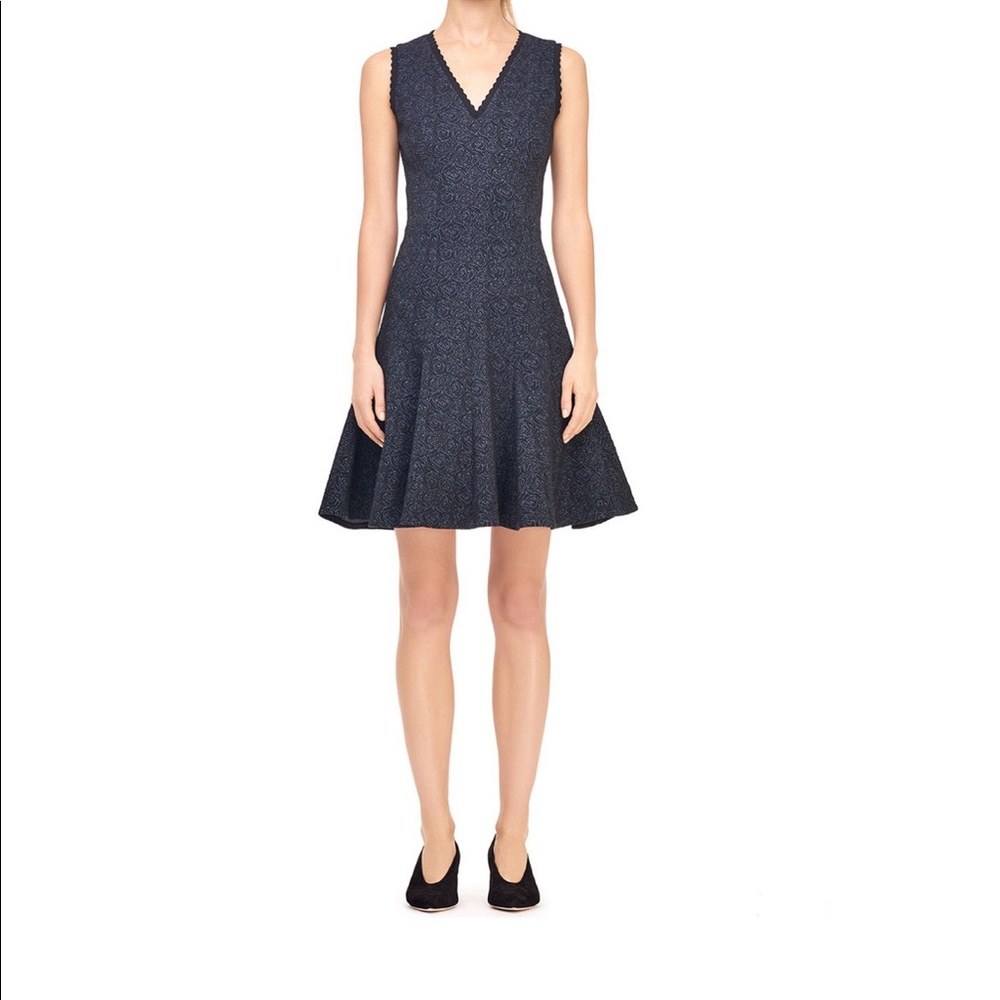 Rebecca Taylor dress